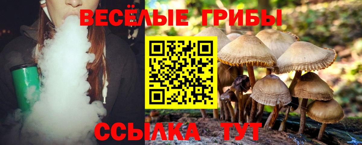 Галлюциногенные грибы мицелий Серов