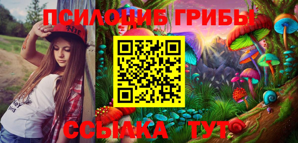 Галлюциногенные грибы Psilocybine cubensis  Вход с VPN  Серов 